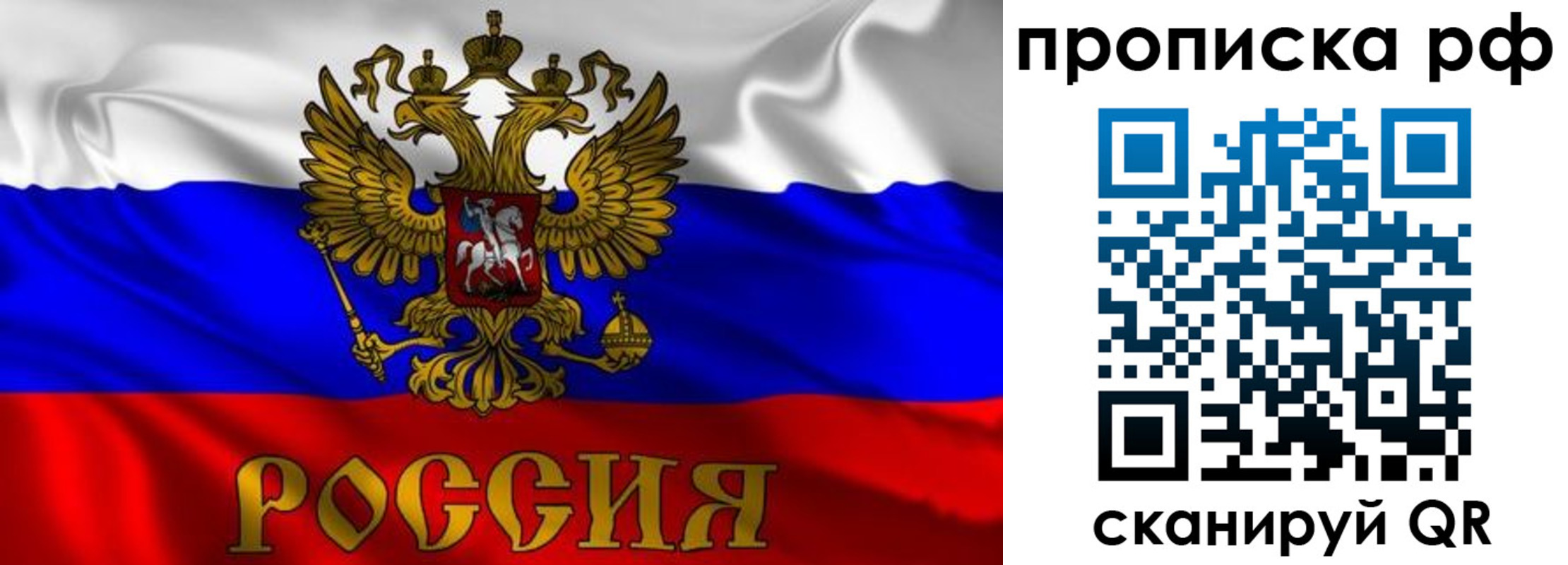 пропишу в квартире в Оленегорске